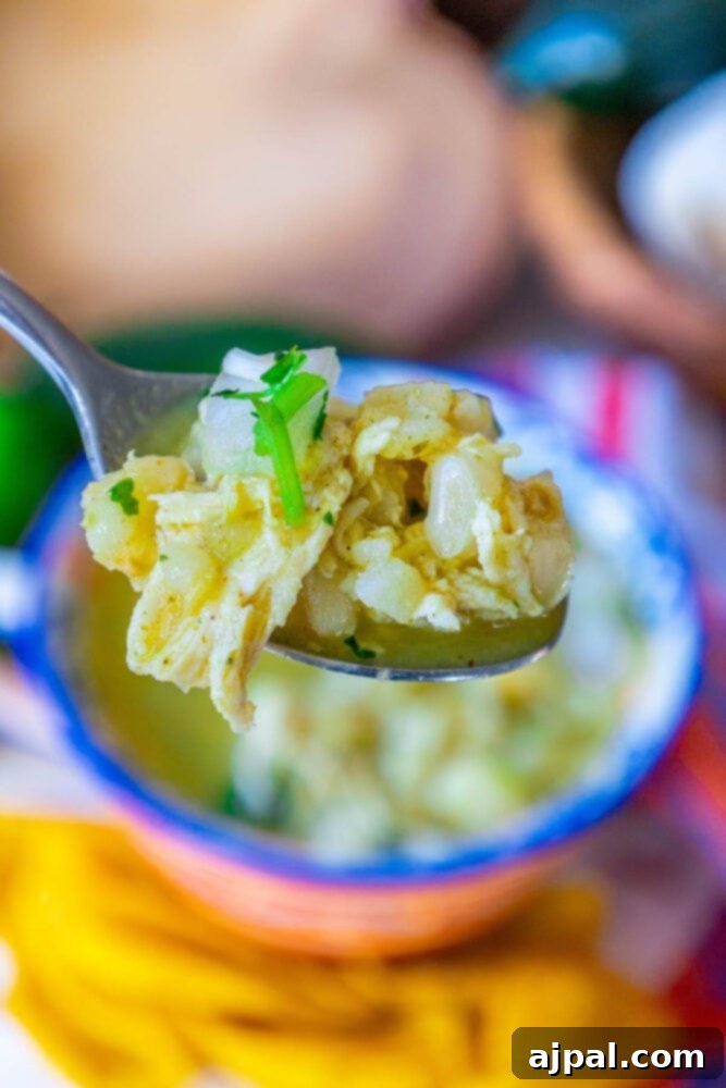 Zesty Green Chicken Posole 4 A spoon lifts a generous portion of green chicken posole from a bowl, showcasing the rich, vibrant stew.