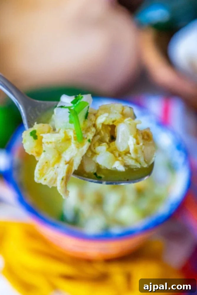A spoon is holding a bowl of green chicken posole.