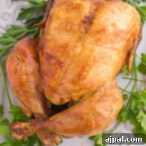 Roasted whole chicken from an Instant Pot on a plate, perfectly golden and ready to carve.