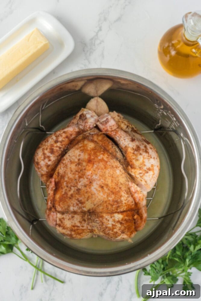 Seasoned raw chicken placed in an Instant Pot with chicken broth at the bottom, ready for pressure cooking.
