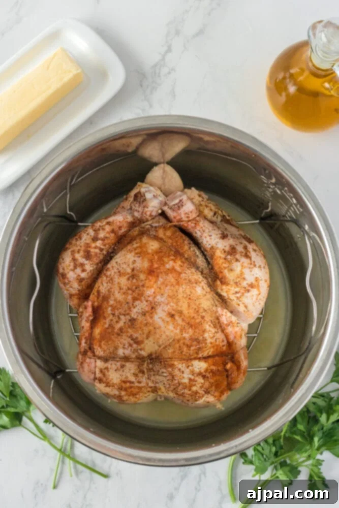 Perfect Instant Pot Whole Chicken 6 seasoned raw chicken in an instant pot with stock in the bottom