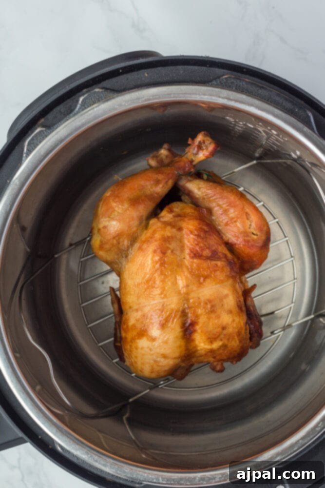 Browned whole chicken resting on a trivet inside an Instant Pot after pressure cooking, ready for broiling.