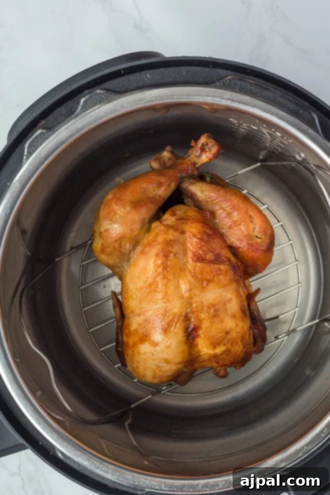 Perfect Instant Pot Whole Chicken 7 browned whole chicken in an instant pot on a trivet