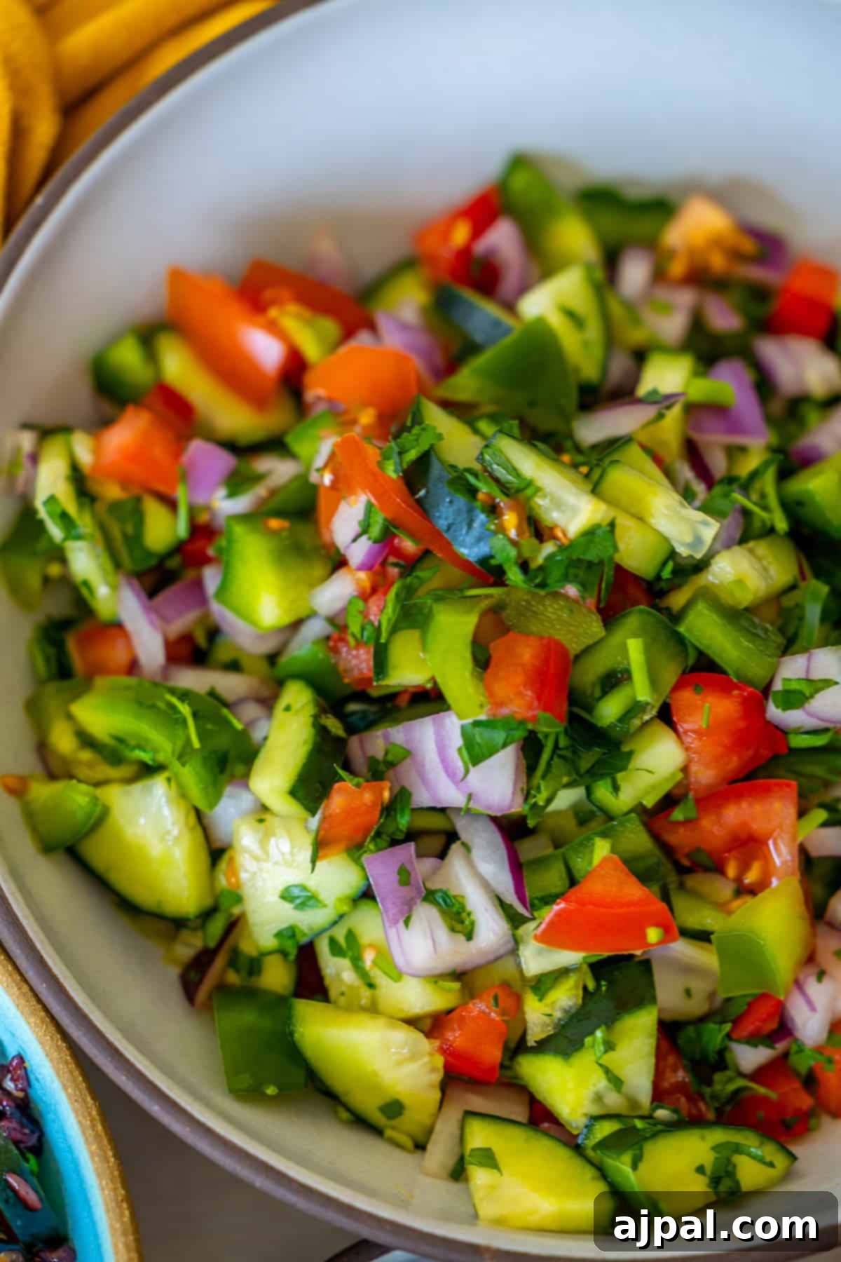 Authentic Jerusalem Salad 4 A bowl of fresh Israeli salad showcases a colorful mix of chopped cucumbers, tomatoes, red onions, and green bell peppers, garnished with vibrant parsley.