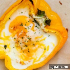 Bell Pepper Egg Bake 11 baked eggs inside halves of bell peppers with melted cheese and herbs on top
