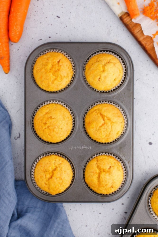 Effortless Carrot Muffins 12 A freshly baked batch of carrot muffins, still warm and golden brown, perfectly nestled in their muffin tin.