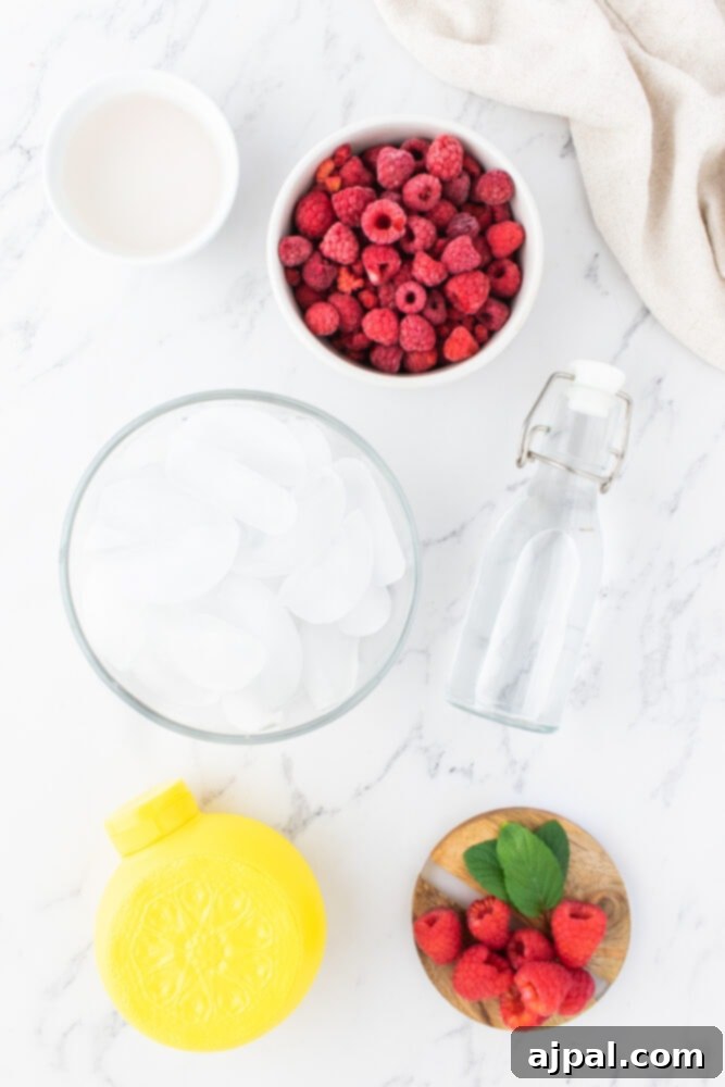 ice in a bowl, frozen raspberries in a bowl, lemons, raspberries, sugar on a table