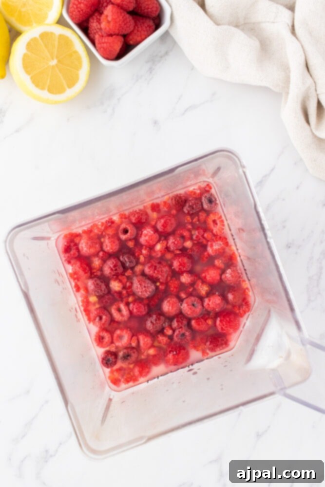frozen raspberries and raspberries in a blender