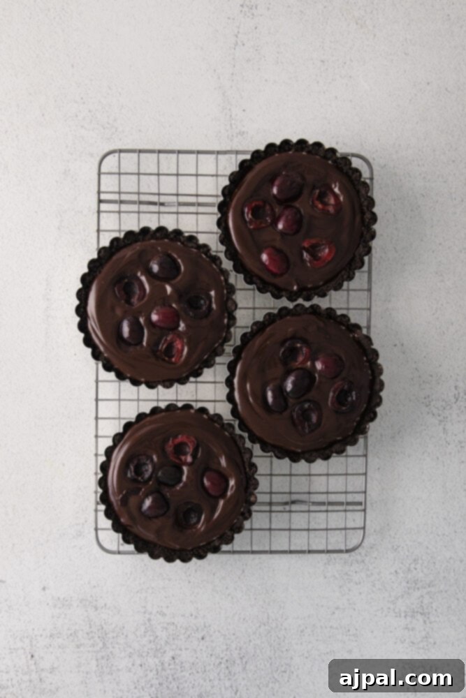 Dark Forest Cherry Delights 8 Several individual tarts, freshly filled with decadent chocolate ganache and adorned with halved fresh cherries, cooling on a wire rack, anticipating their final garnishes.
