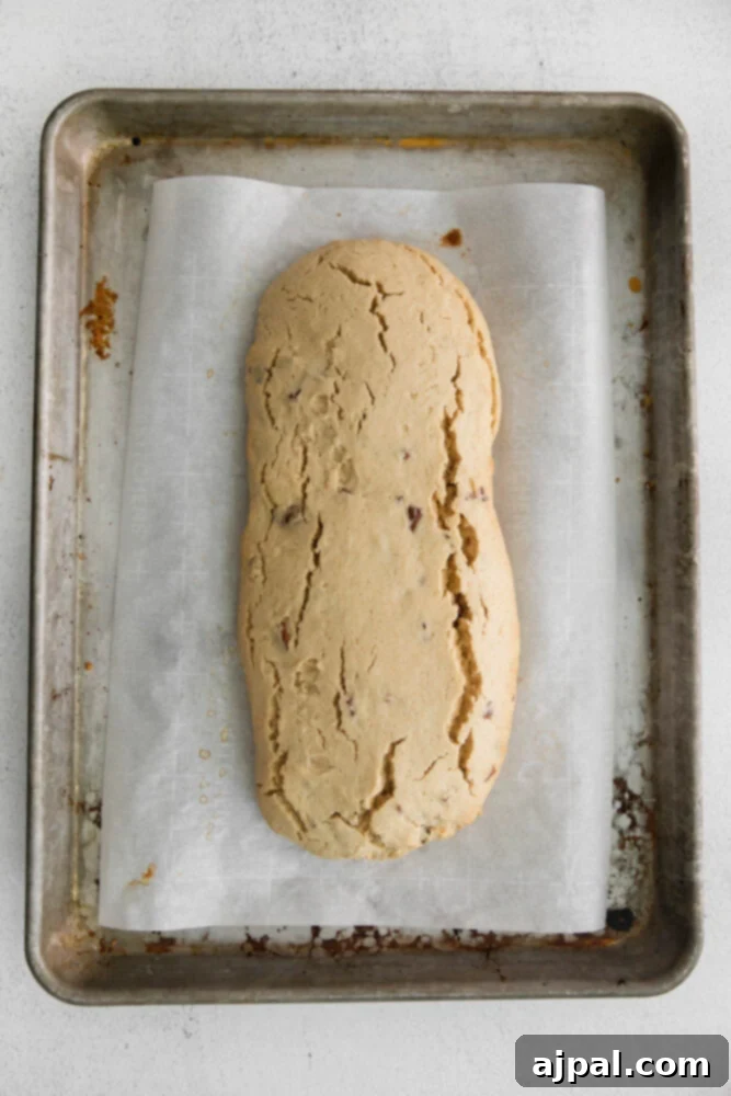 Artisan Maple Pecan Biscotti 8 A maple pecan biscotti loaf on a baking sheet