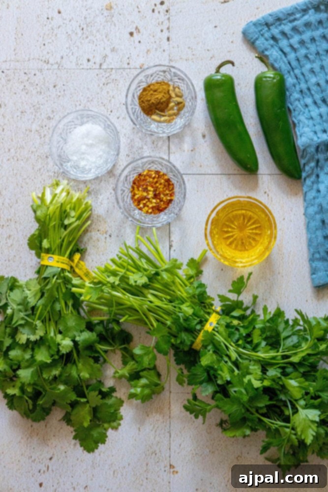 Skhug Zhoug Sauce Recipe 16 A vibrant collection of fresh ingredients, including green chilies, an abundance of fresh herbs like cilantro and parsley, and various spices, meticulously laid out and ready for the preparation of homemade zhoug sauce.