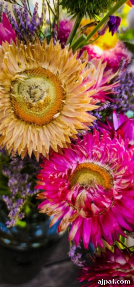 Skhug Zhoug Sauce Recipe 6 A cluster of bright, colorful flowers in full bloom, showcasing the lush and diverse plant life cultivated with care at Farma Cultura, reflecting natural vibrancy.