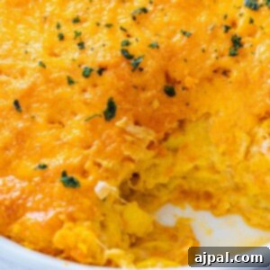 A cheesy chicken casserole.