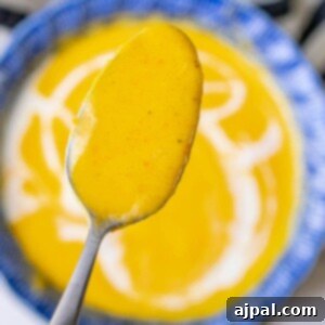 Golden Butternut Perfection 15 A spoon is holding a bowl of butternut squash soup.