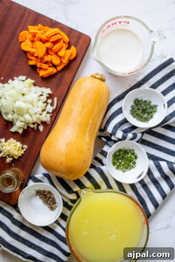 Golden Butternut Perfection 5 butternut squash, onion, carrot, spices, and stock around it