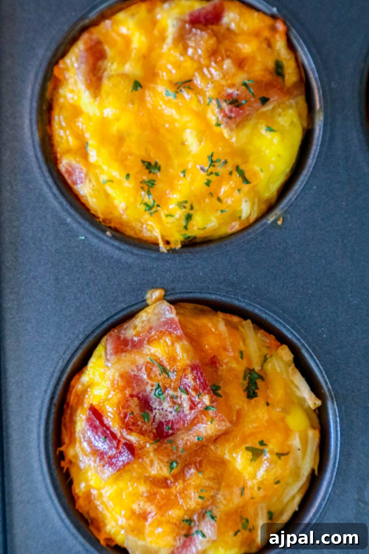Hashbrown Egg Nests 3 Bacon and egg muffins baked in a muffin tin