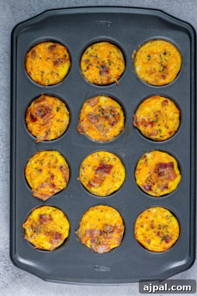 Hashbrown Egg Nests 7 Baked egg and hashbrown muffin cup with bacon in a muffin tin, freshly out of the oven