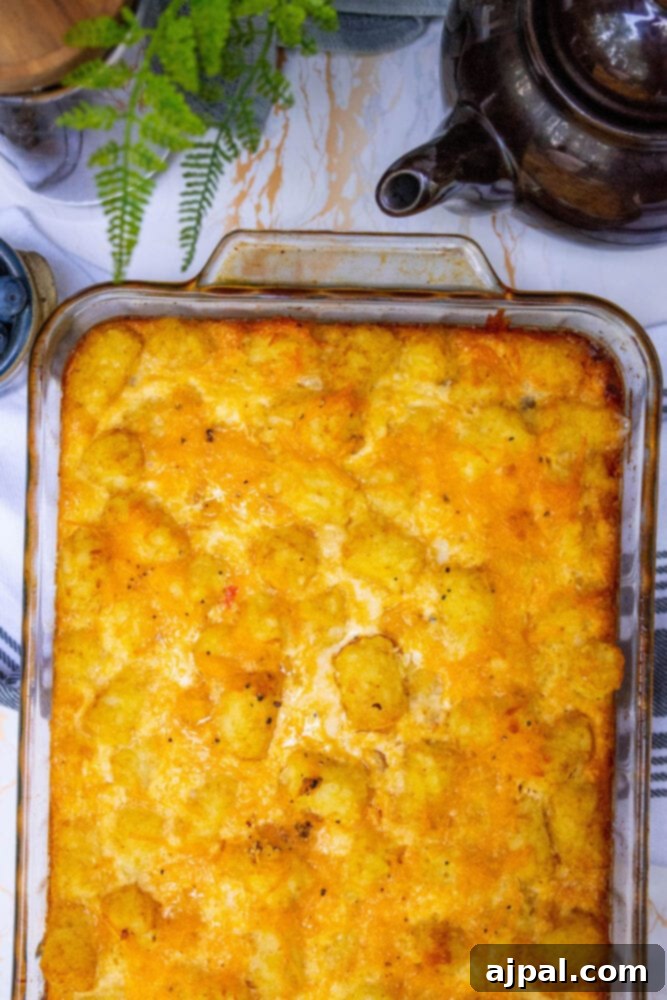 Hearty Tater Tot Breakfast Bake 13 A freshly baked tater tot casserole, golden brown and bubbling, hot out of the oven.