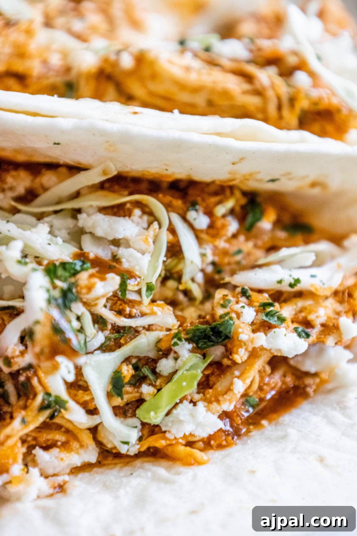 shredded chicken tinga in a tortilla with chopped cilantro, cabbage, and crumbled cotija cheese on top