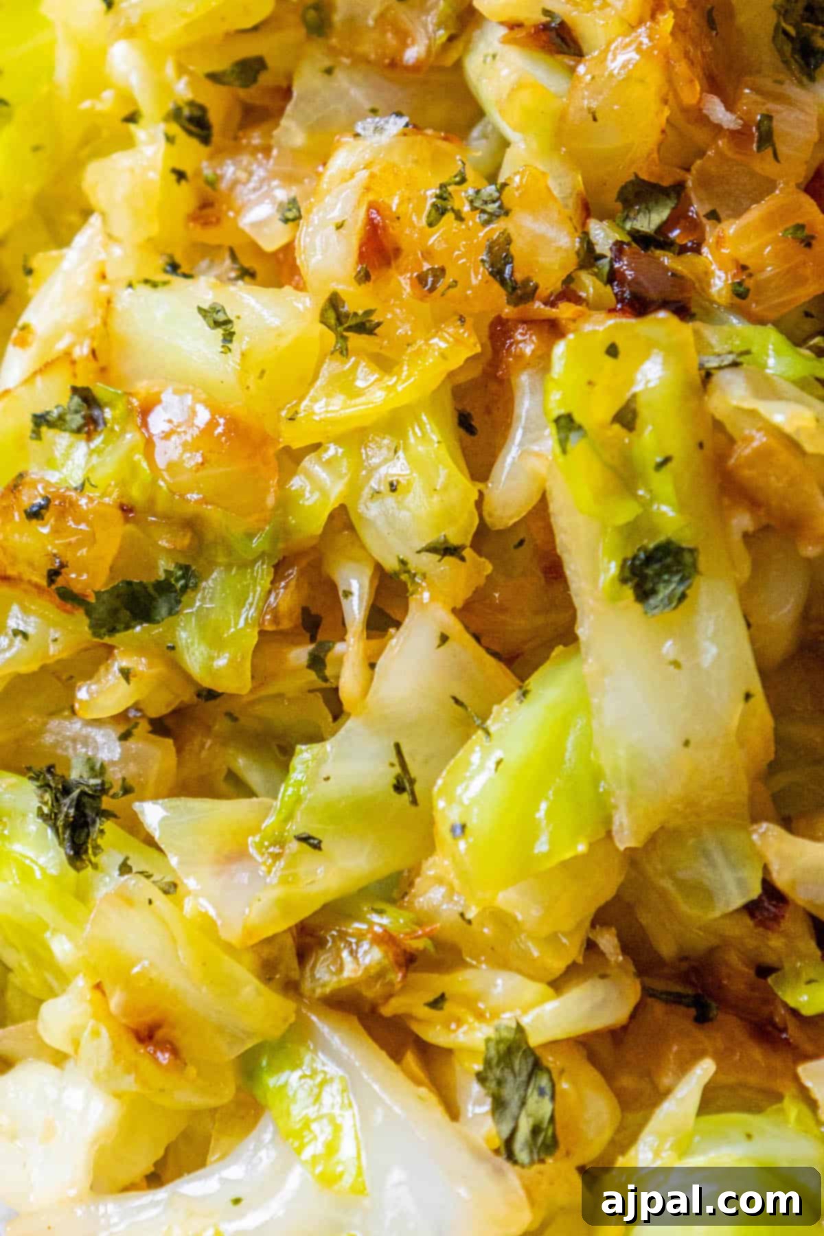 Caramelized Cabbage and Onions 10 A close-up of a plate featuring a generous serving of Easy Caramelized Cabbage and Onions, highlighting its delicious texture and golden color.
