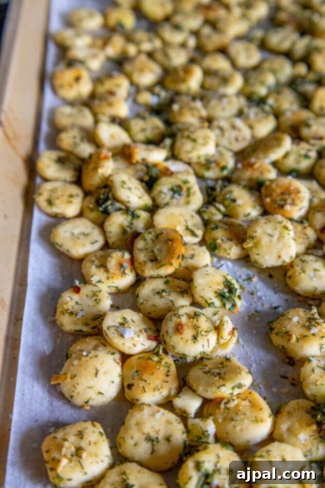 Kickin' Ranch Krunchies 9 baked crispy oyster crackers on a baking sheet on a table
