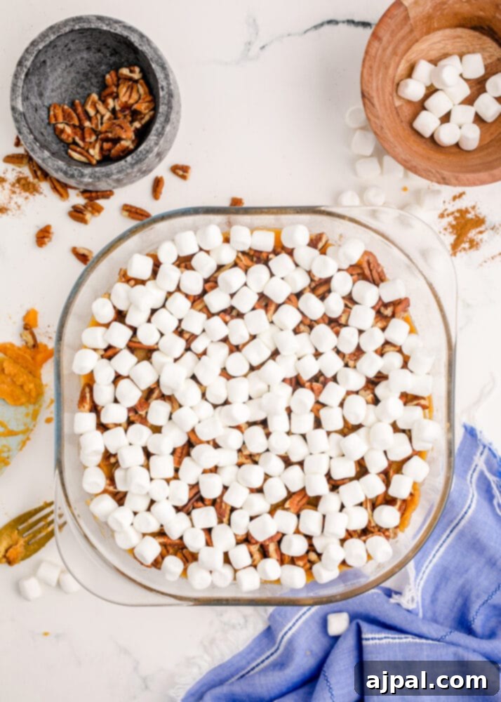 Golden Sweet Potato Delight 11 mashed sweet potato with marshmallows on it
