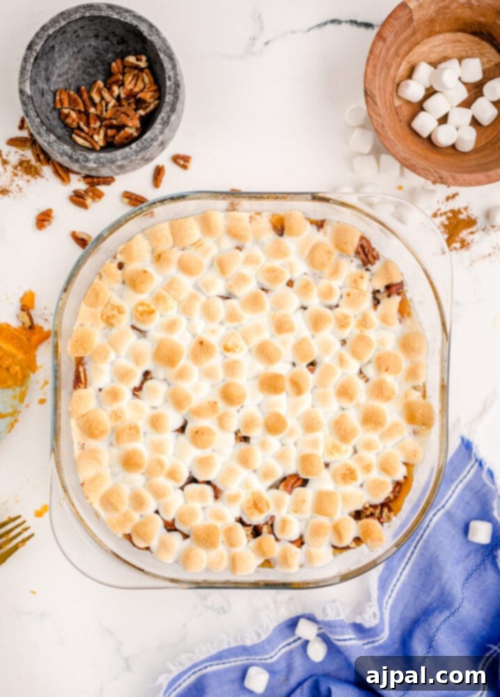 Golden Sweet Potato Delight 12 mashed sweet potato with marshmallows on it that are toasted
