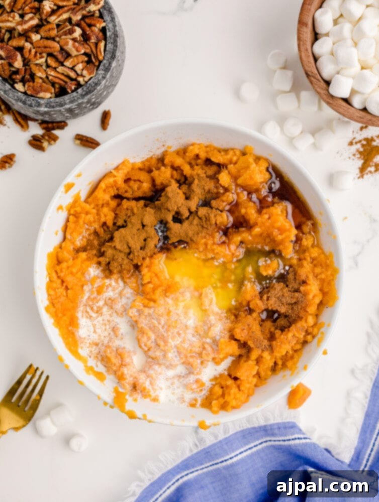 Golden Sweet Potato Delight 7 mashed sweet potatoes with sugar and spices in it