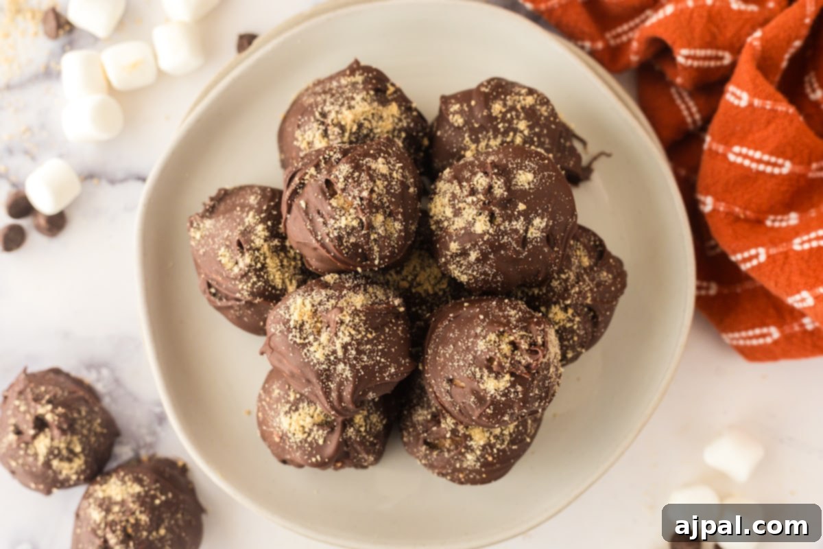Delicious chocolate truffle candies inspired by s’mores, beautifully arranged on a white plate.