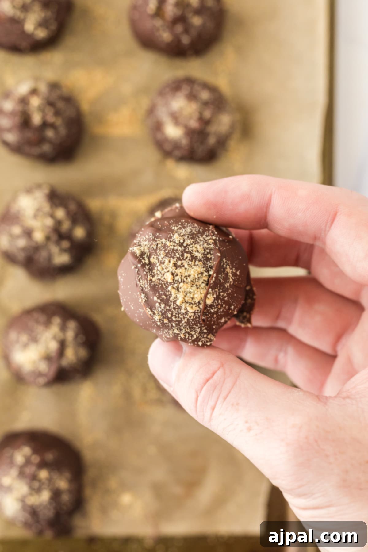 A hand holds a tempting chocolate marshmallow truffle, generously coated with crumbled graham crackers, ready to be enjoyed.