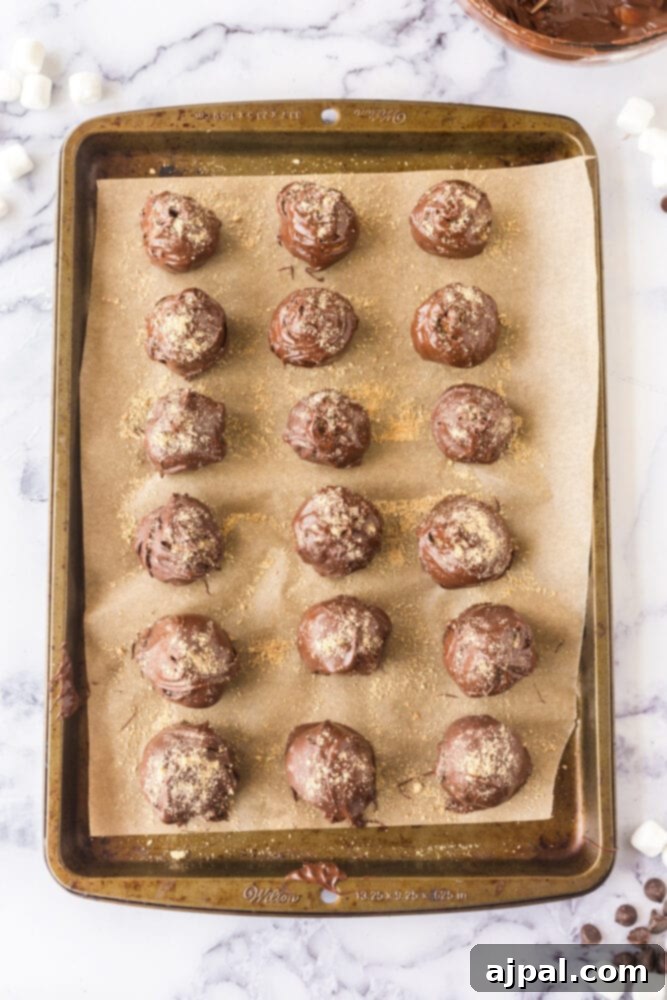 Finished marshmallow truffles, dipped in smooth chocolate and garnished with crunchy graham crackers.