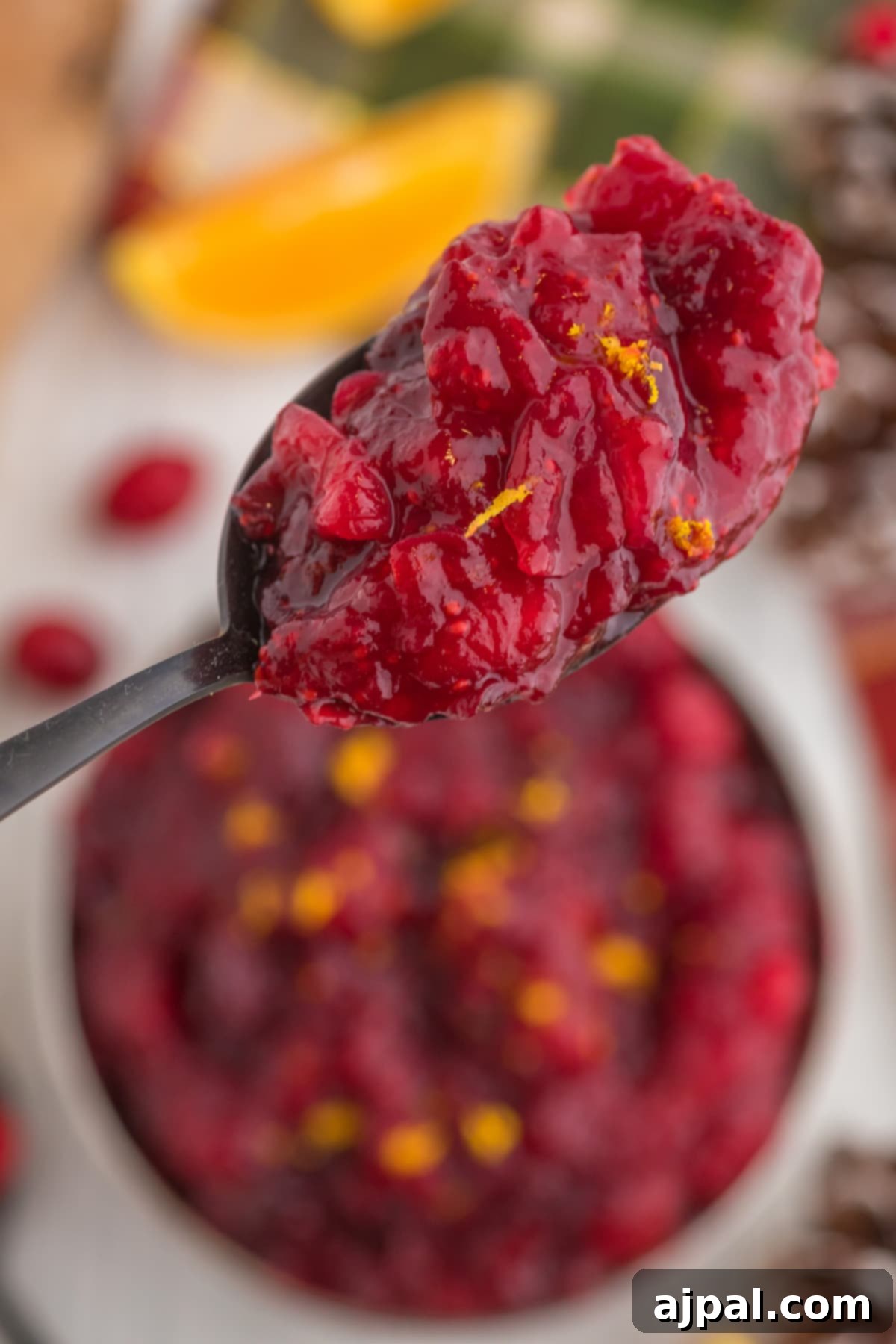 cranberry sauce with orange zest on a spoon