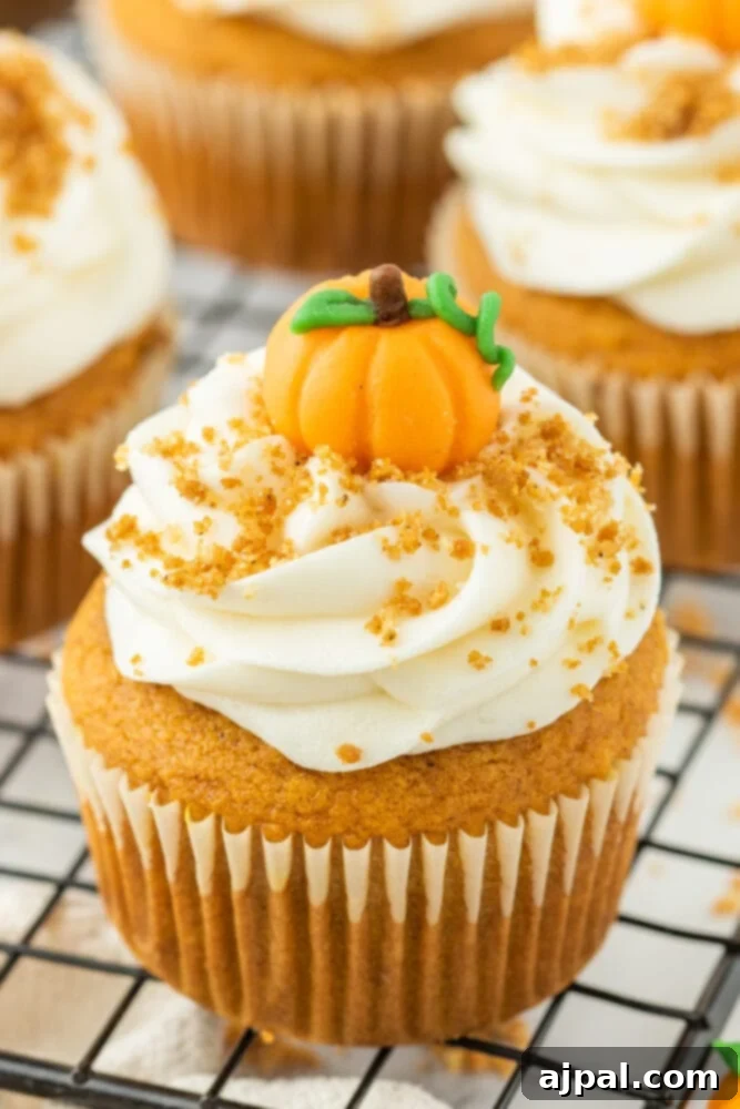 Golden Pumpkin Spice Cupcakes 2 Easy pumpkin cupcakes on a cooling rack, freshly baked.