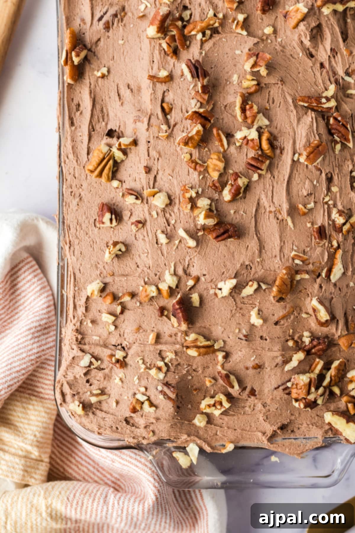 chocolate cake with chocolate icing topped with nuts in a casserole dish