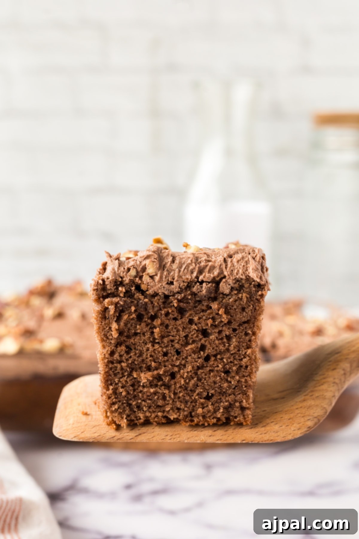 chocolate cake with chocolate icing topped with nuts on a white plate