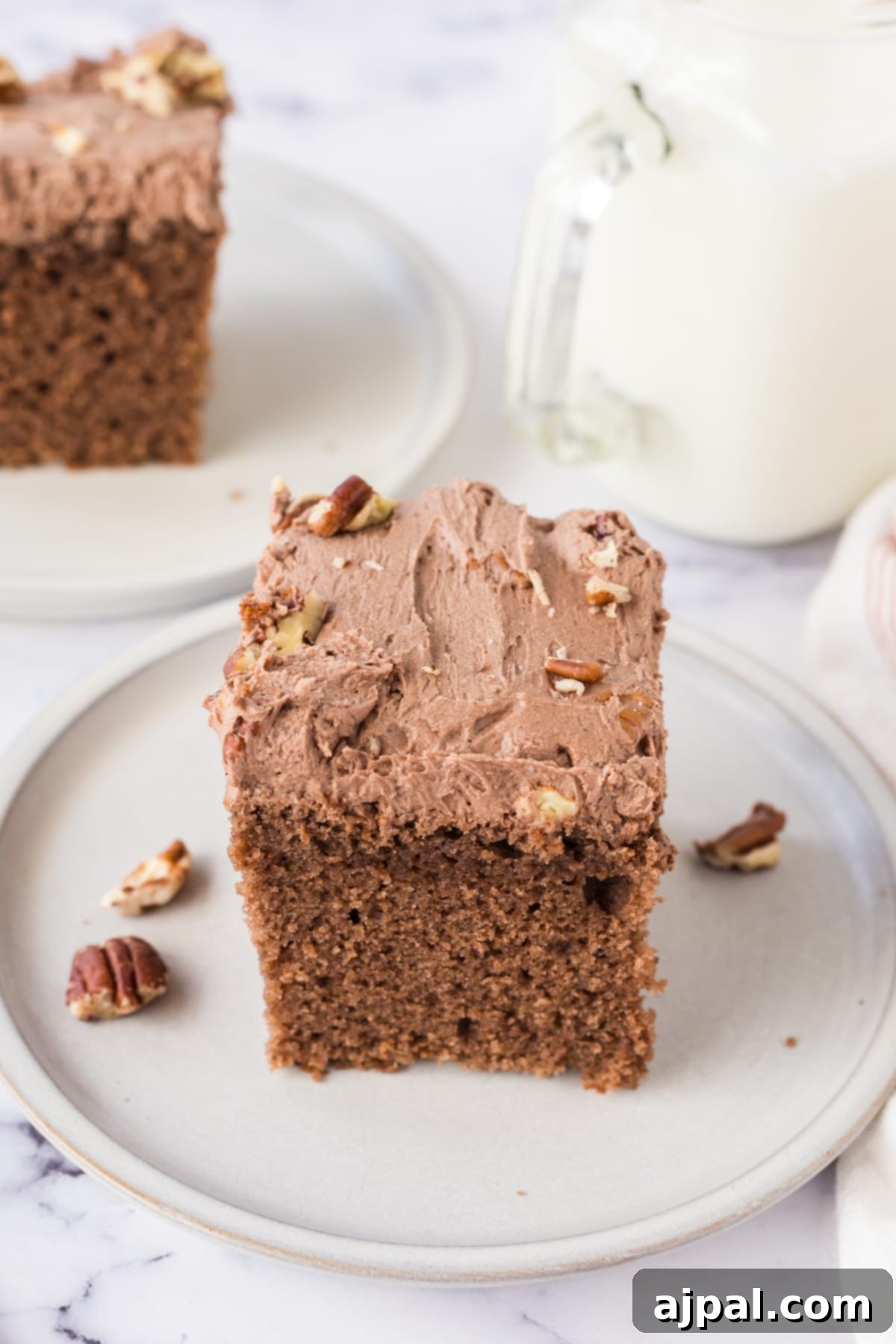 chocolate cake with chocolate icing topped with nuts on a white plate