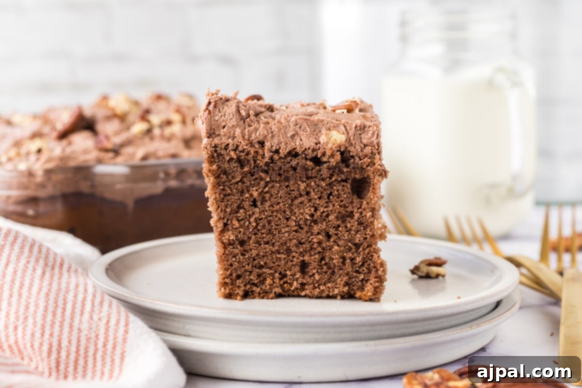 chocolate cake with chocolate icing topped with nuts on a white plate