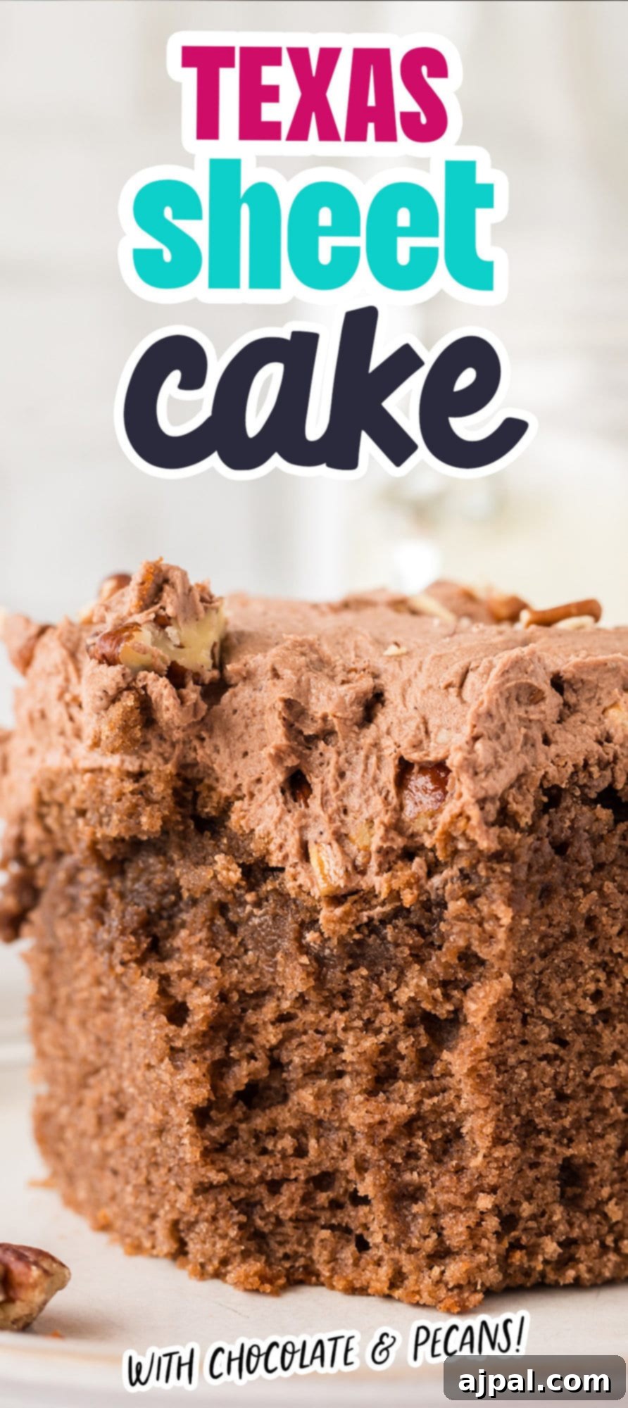 iced chocolate sheet cake in a casserole dish