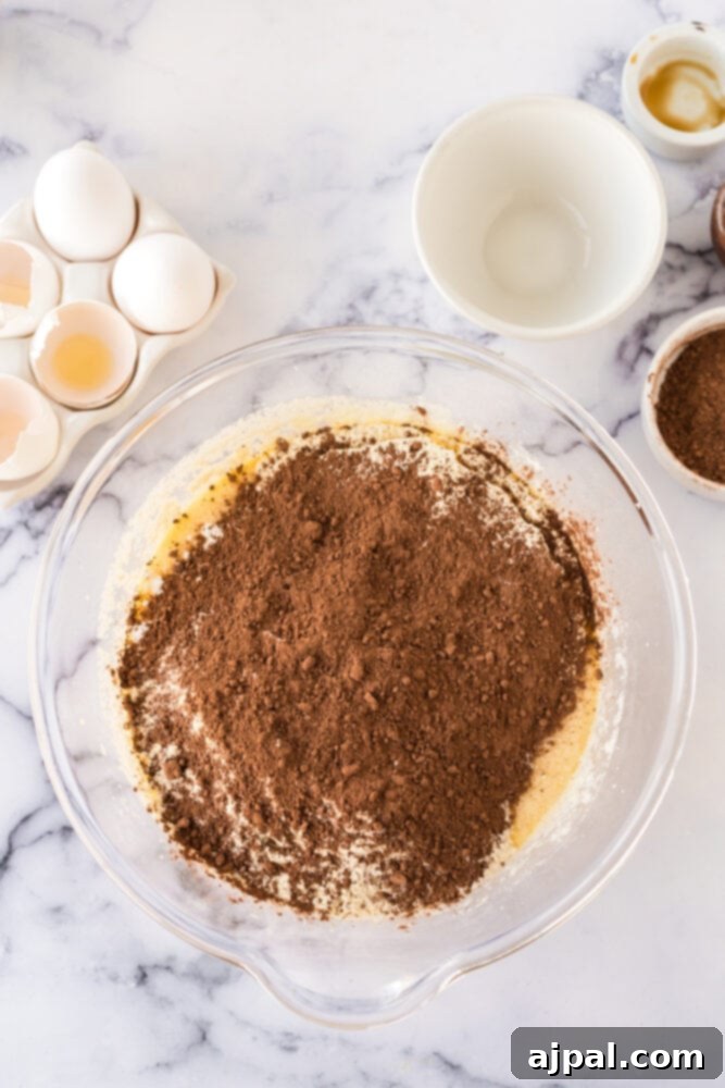cocoa powder being mixed into cake batter in a glass bowl