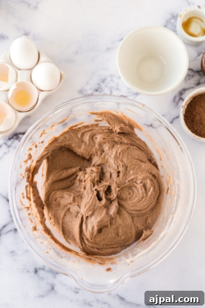 mixed chocolate cake batter in a bowl 