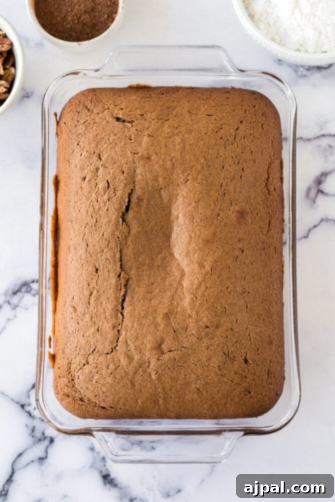 baked chocolate cake in a casserole dish