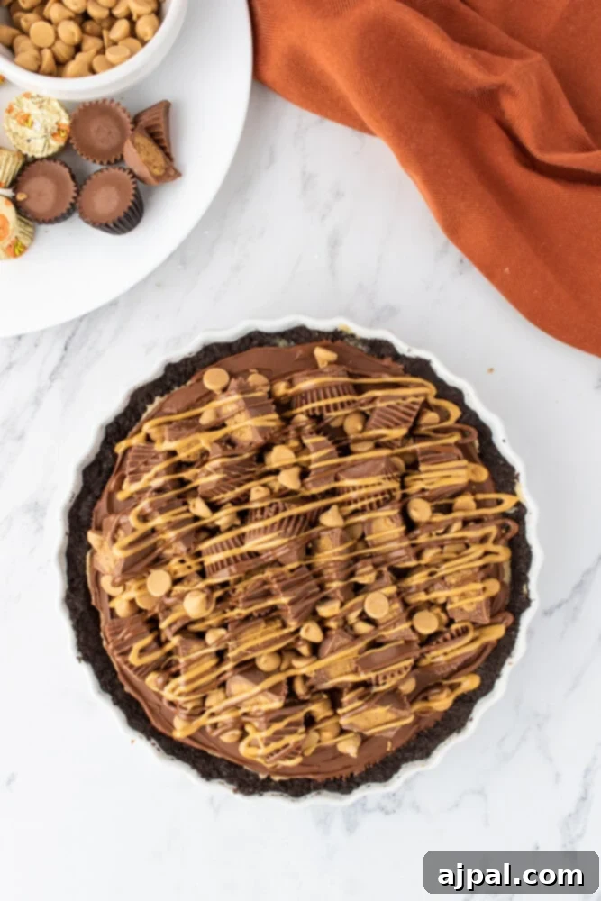 The fully decorated chocolate pie base, complete with a layer of milk chocolate, a generous sprinkling of chocolate and peanut butter chips, and an elegant peanut butter drizzle.
