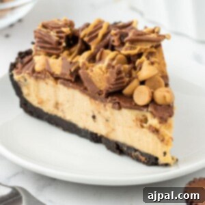 A delicious slice of peanut butter pie on a white plate, beautifully topped with peanut butter chips and mini Reese's cups.