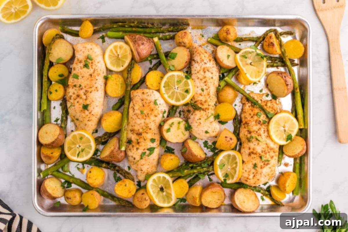 An overhead shot of a baked sheet pan dinner featuring golden chicken breasts, roasted potatoes, and vibrant asparagus spears, with lemon slices for garnish.