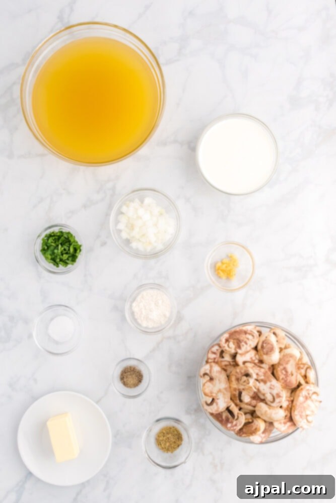 stock, mushrooms, cream, herbs, flour on a table