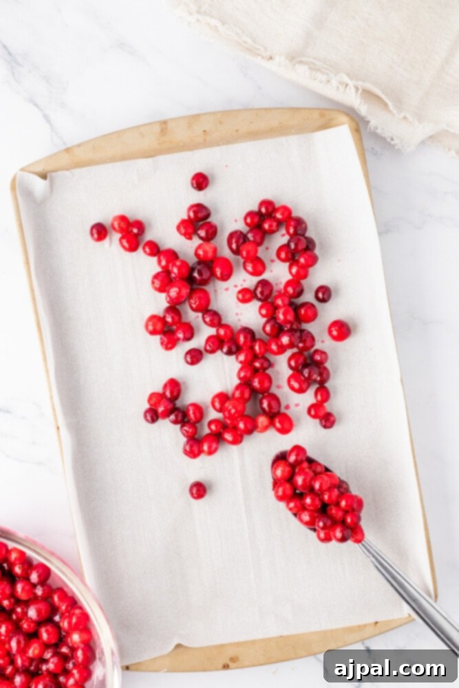 Bright Cranberry Orange Bundt Cake 12 A baking sheet covered with a scattering of fresh cranberries and a spoon, implying preparation for a recipe.