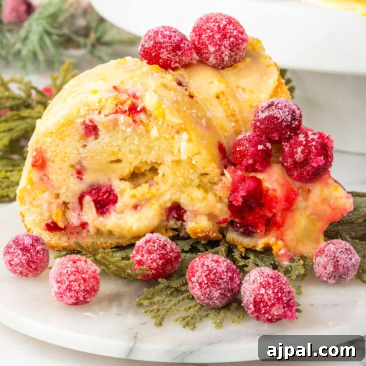 Bright Cranberry Orange Bundt Cake 3 A perfectly sliced piece of Cranberry Orange Bundt Cake presented on a white plate, showcasing its moist texture and vibrant fruit.