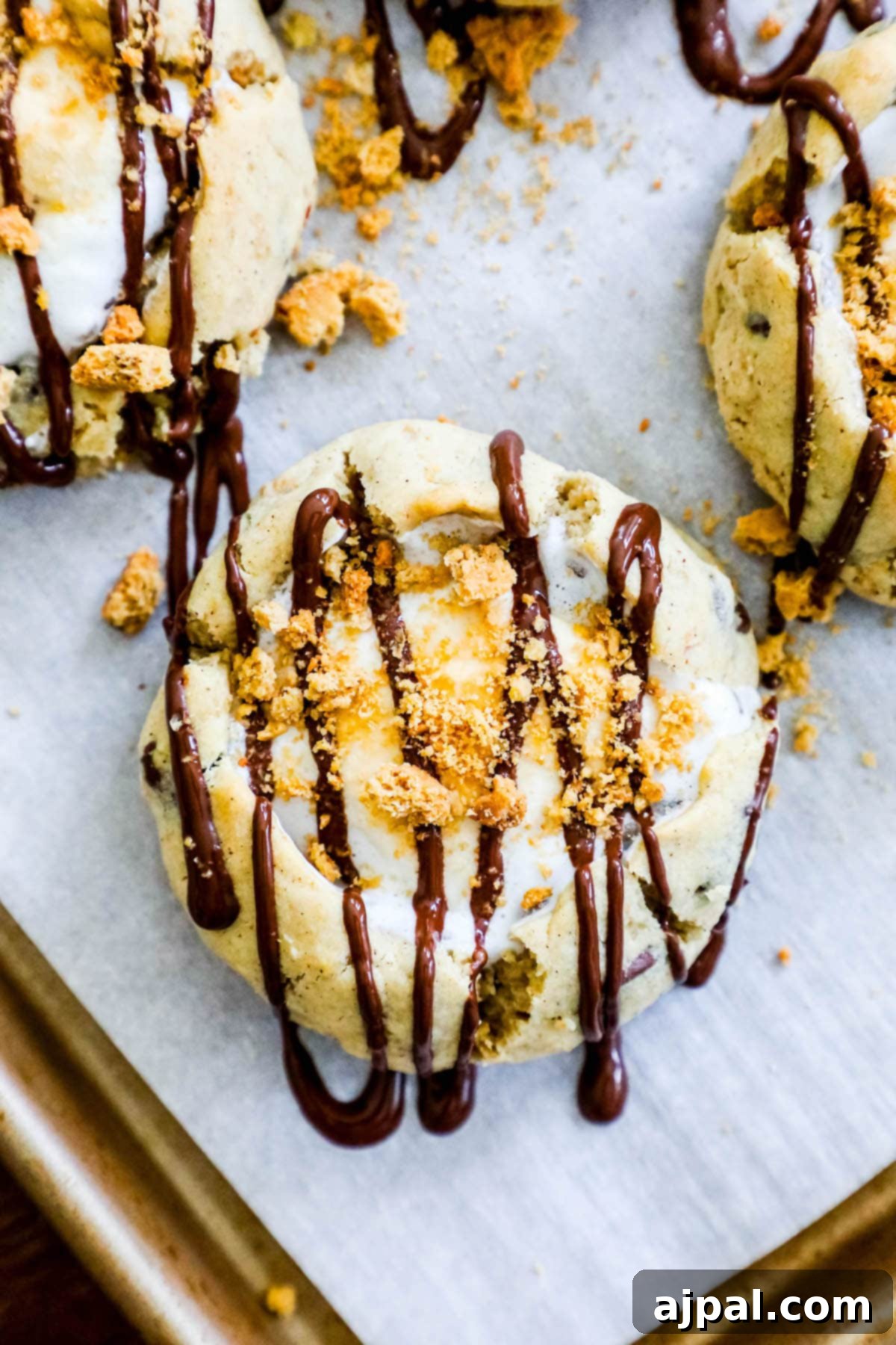 Gluten-Free S'mores Cookies 10 Gluten-free cookies topped with melted marshmallow, chocolate, and crumbled graham crackers on a cooling rack