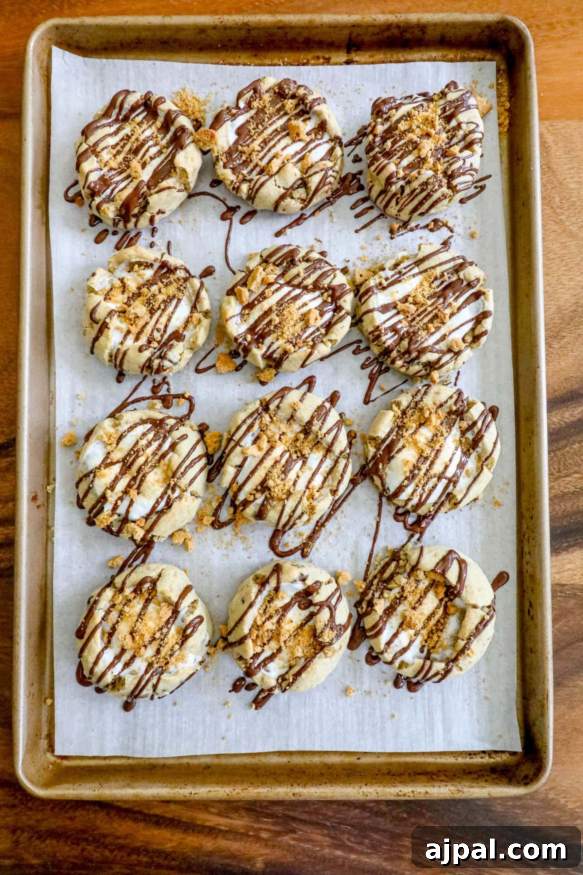 Gluten-Free S'mores Cookies 11 Gluten free cookies with chocolate drizzle on top.