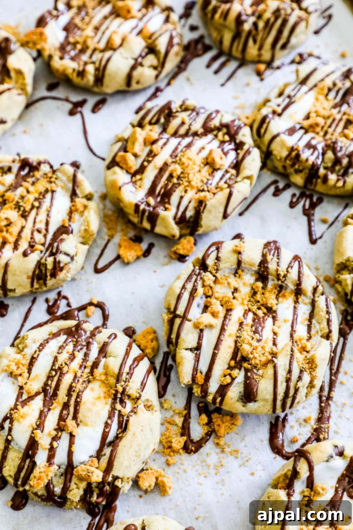 Gluten-Free S'mores Cookies 3 Gluten-free cookies topped with melted marshmallow, chocolate, and crumbled graham crackers on a cooling rack